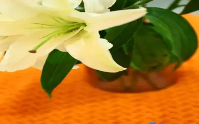 Yuelan Serviced Apartment (Qingdao Wusi Plaza & Vientiane City)