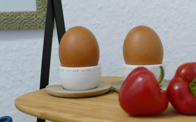 Pirna Altstadtgeflüster