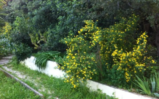 Domaine des hauts de sauvebonne