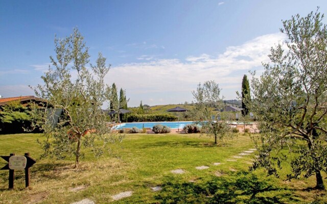 Geranio Sughera in Sughera