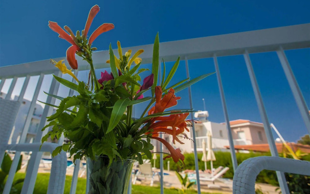 Polycarpia Hotel