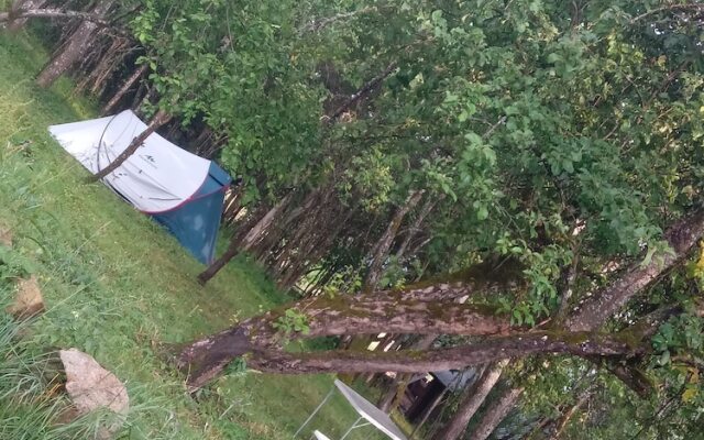 Room in Guest Room - Rural Holiday Transylvania