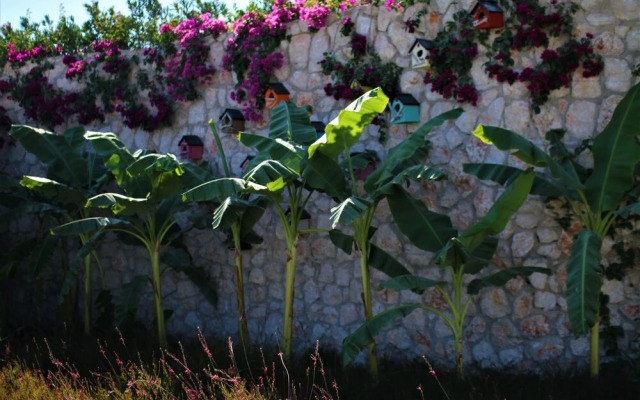 Soul of Alacati Beach Resort