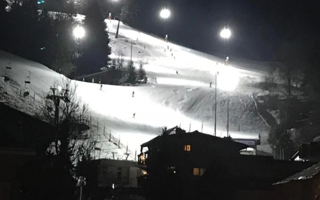 Ski and Lake View Apartment