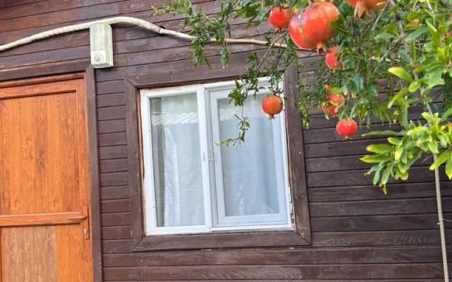 Olimpos Vadi Houses