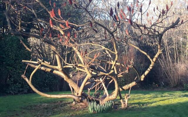 Un Grand Jardin En Ville. Chez Guy (Adults Only)