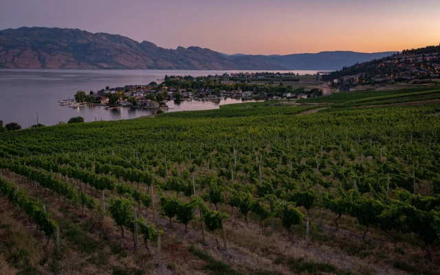 Adela's Bed and Breakfast