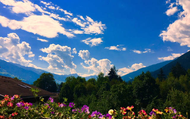 Beautiful Apartment in Fugen / Zillertal