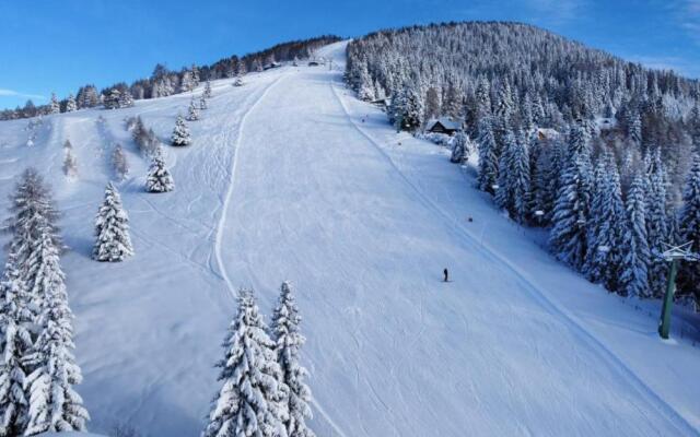 Alpenrose Sport Hotel