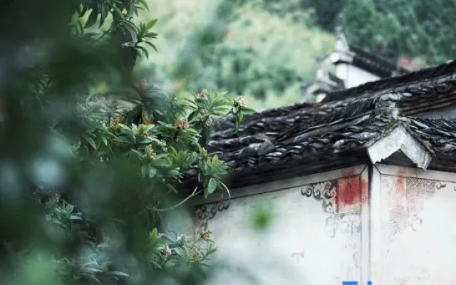 Half-mountain splash