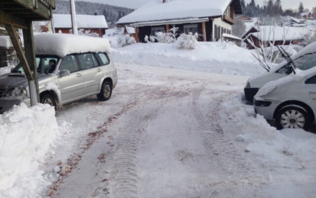 Apartment With 2 Bedrooms in Xonrupt-longemer, With Wonderful Mountain