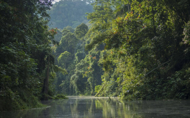 Belum Adventure Camp