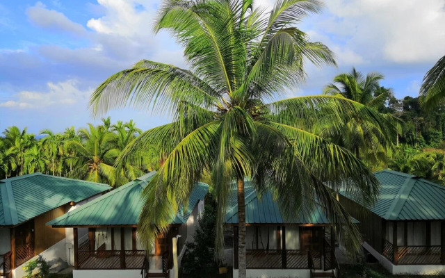 Rainforest Resort