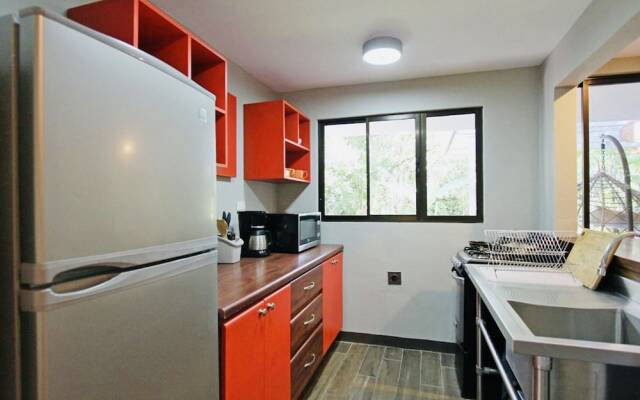 Relaxing Sound of River Birds Squirrels