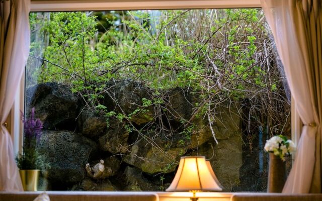 Villa Hanasaku Fujikawaguchiko B