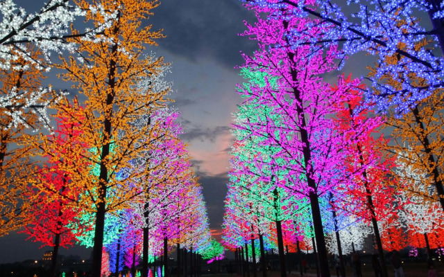 [Sleeps 4 Pax] @ I-City