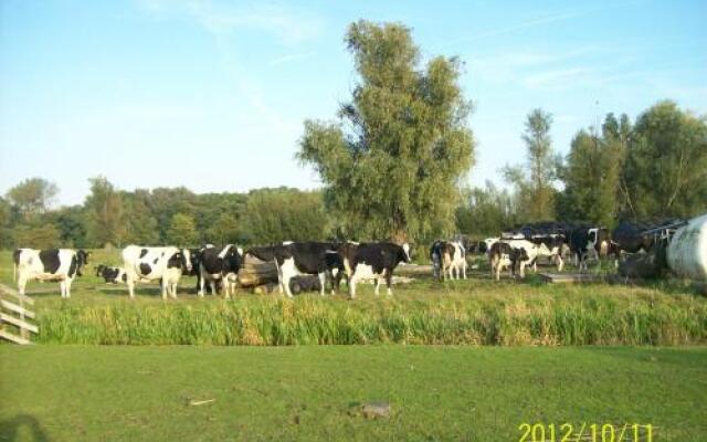 B&B Het Boenhok