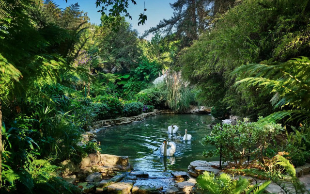 Hotel Bel-Air - Dorchester Collection
