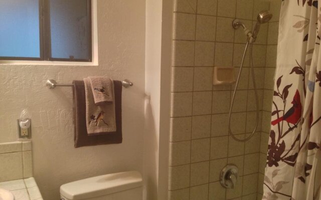 Yosemite Creekside Birdhouse