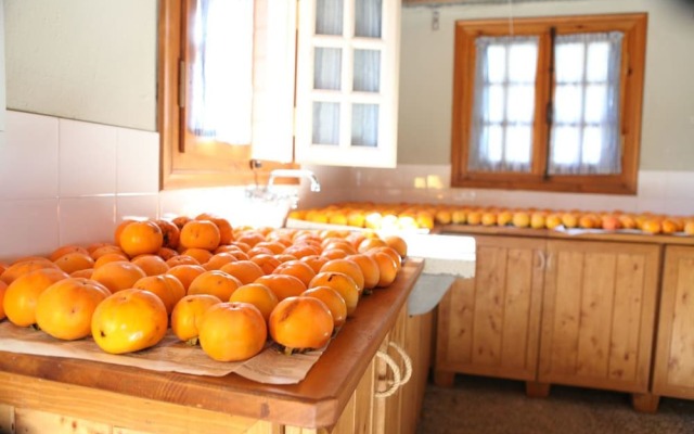 Vasilikia Mountain Farm & Retreat