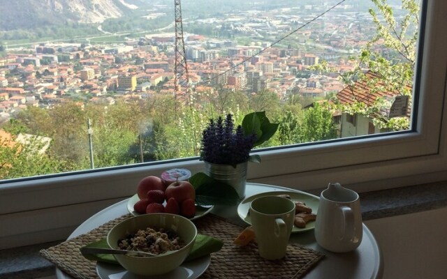 Il riccio di Ricciano