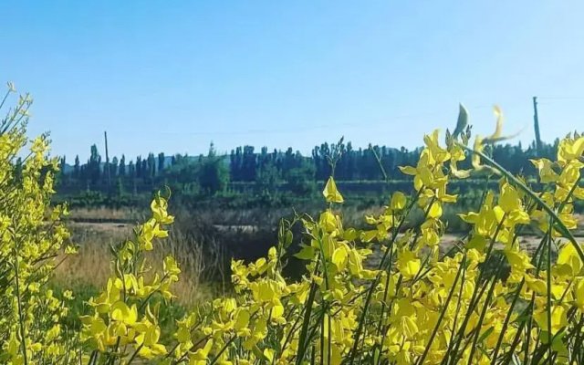 Terrunosdelvalle