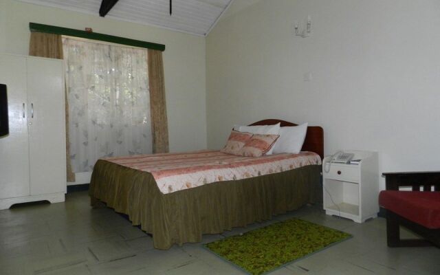 Hibiscus Guest House