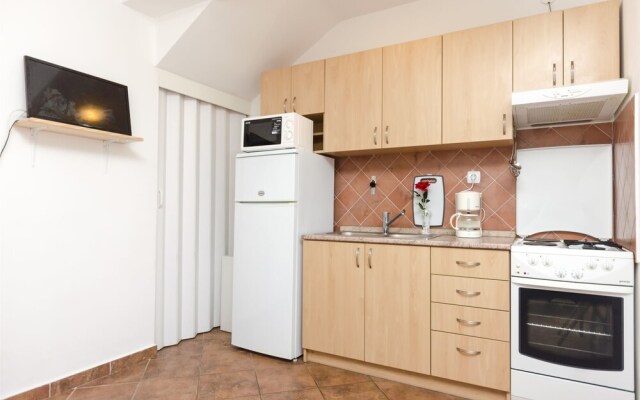 Apartment Branka