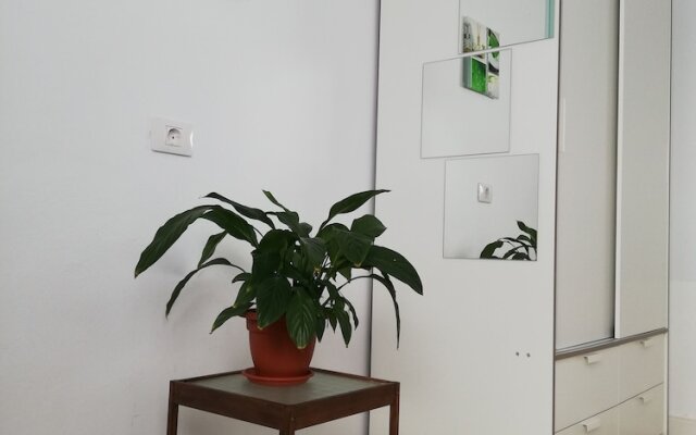 Casa del Erizo - Ecofinca