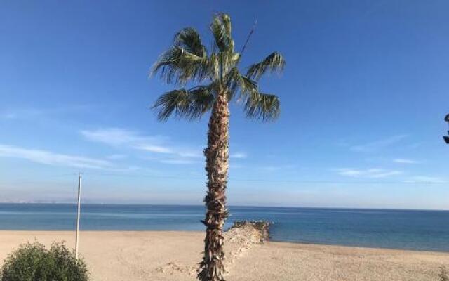 Campello Beach By Jupalca