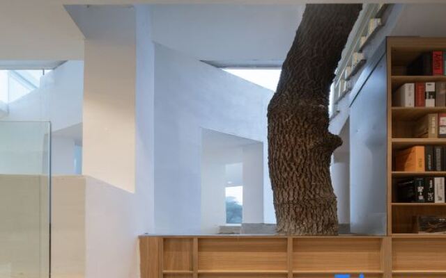 There is a Starlight Mountain B&B outside Chongqing