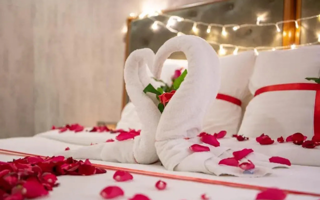 viola hotel Jazan