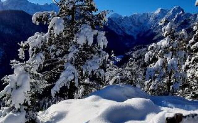 Holiday chalet "Alpine dreams"