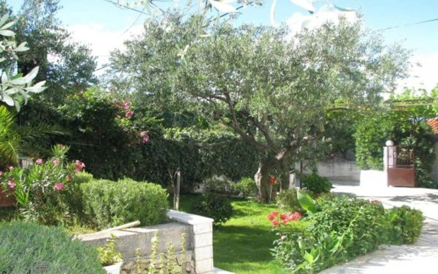 Mihovilovic - 50 m From Beach - A1