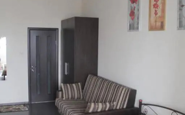 Solo Apartment Kamenskaya