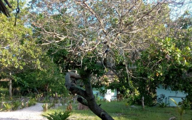 Mangrove Beach Bungalows