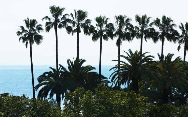 Villa d' Estelle Cannes