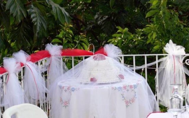 Palm View Guesthouse and Conference Centre
