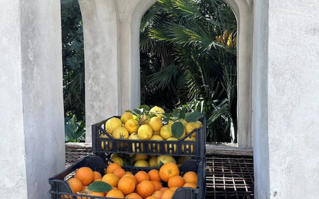 Villa De Cillis Carafa