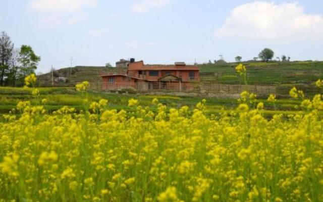 The Little House In The Ricefields