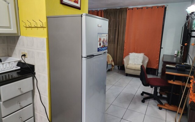 Gated Studio By The Pavillian Mall Near US Embassy Liguanea Kingston