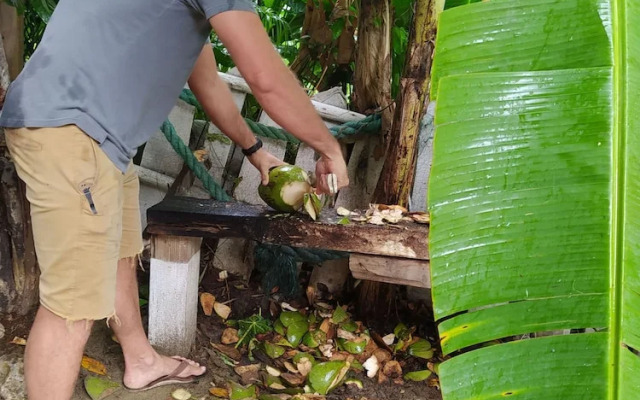 Room in Lodge - Method Living Tropical Edition 50024