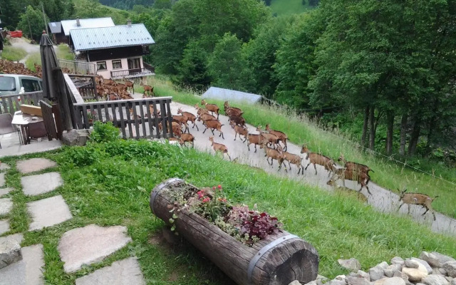 Le Refuge des Marmottes