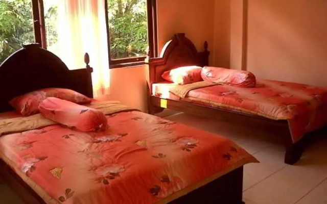 Citrus Tree Rooms - Arik