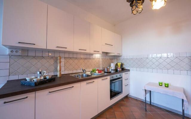 Il Vigneto Sul Lago Vineyard Lake View