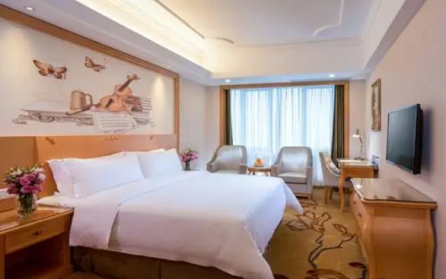 Vienna Hotel Tianjin Lingshijun