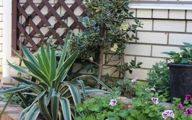 Guest House Semeynyy