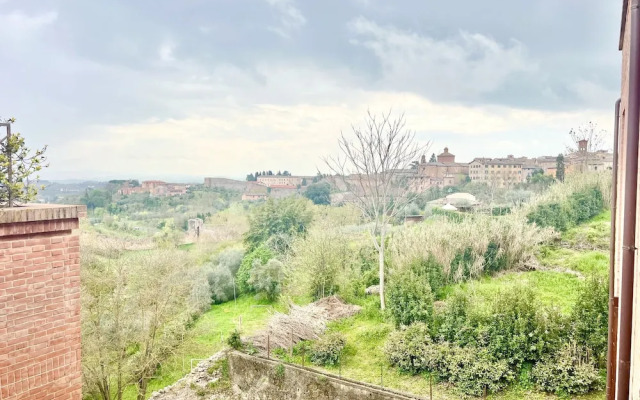 Provenzano Top floor