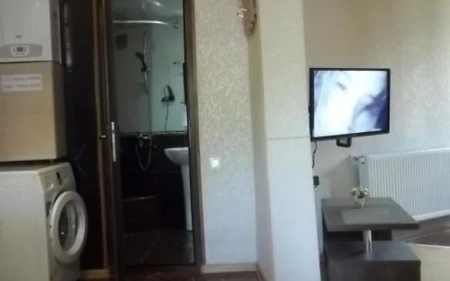 Hotel Visitor