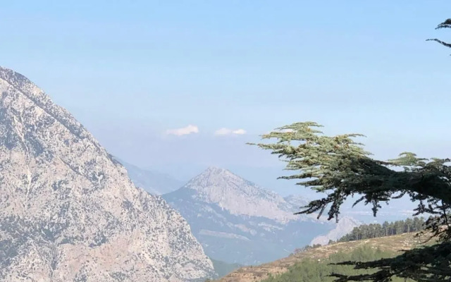 Yenivadi